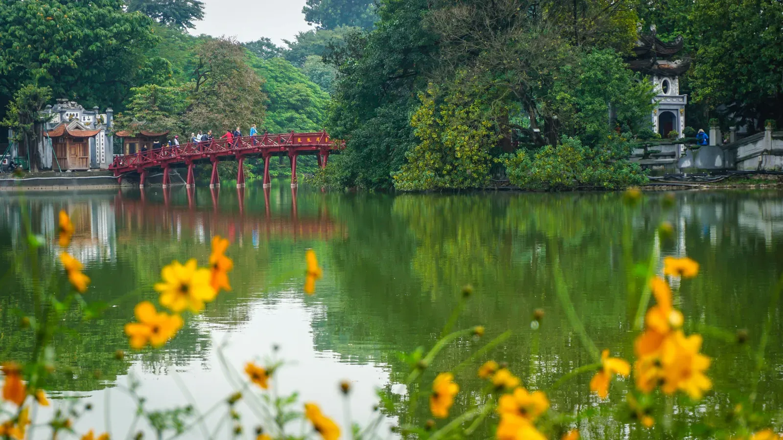 The red wooden The Huc Bridge crossing Hoan Kiem Lake to Ngoc Son Temple, with trees reflected in the green water and yellow flowers in the foreground