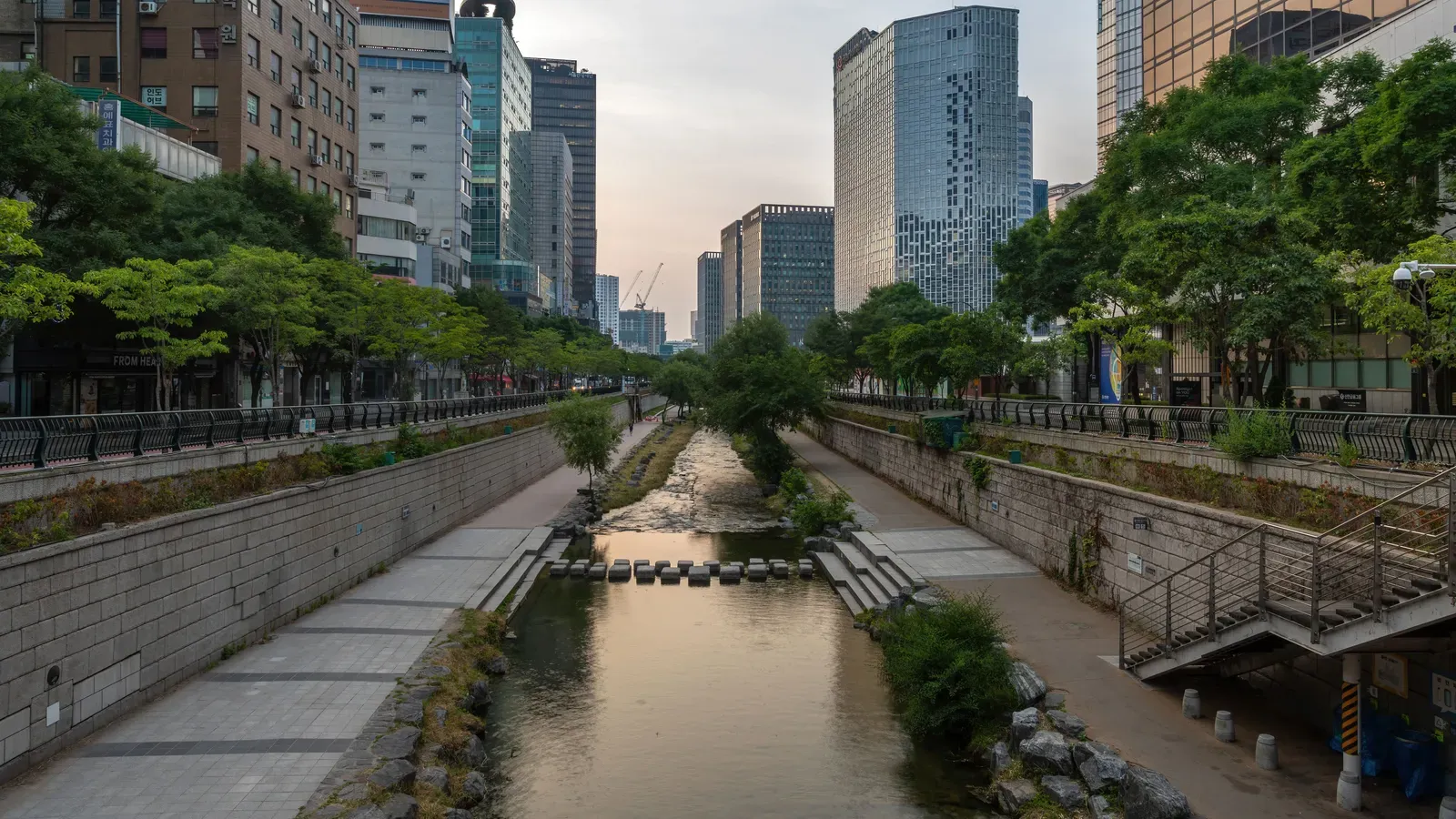 The Cheonggyecheon stream running between stone embankments and walking paths, with stepping stones, trees and office towers at sunrise