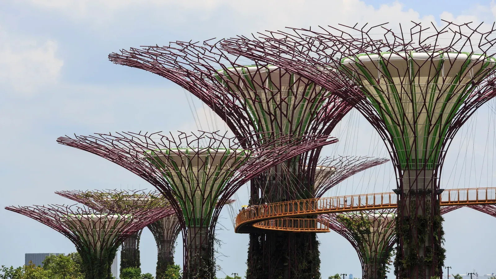 Steel Supertrees covered in climbing plants at Gardens by the Bay, with the orange OCBC Skyway walkway curving between them